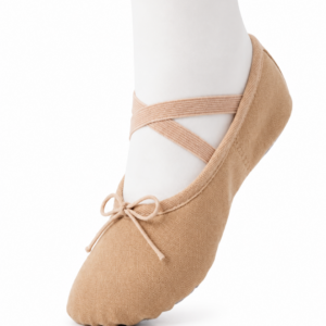 Zapato de Lona Piel